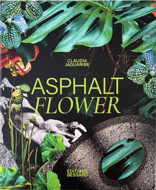 edcat Asphalt Flower